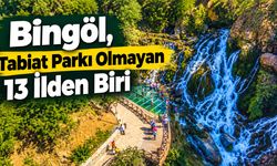 Bingöl, Tabiat Parkı Olmayan 13 İlden Biri