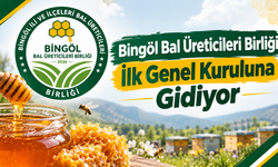Bingöl Bal Üreticileri Birliği İlk Genel Kuruluna Gidiyor