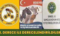 Bingöl’deki 3 Birlik 1. Derece ile Tescillendi!
