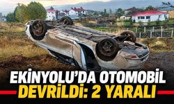 Bingöl'de Otomobil Devrildi: 2 Yaralı