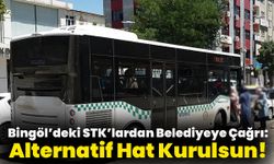 Bingöl’deki STK’lardan Belediyeye Çağrı: Alternatif Hat Kurulsun!