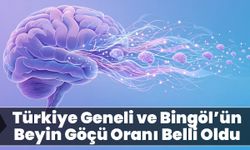 Türkiye Geneli ve Bingöl’ün Beyin Göçü Oranı Belli Oldu