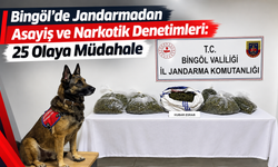 Bingöl’de Jandarmadan Asayiş ve Narkotik Denetimleri: 25 Olaya Müdahale