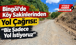 Bingöl’de Köy Sakinlerinden Yol Çağrısı: “Biz Sadece Yol İstiyoruz”