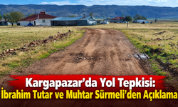 Karlıova'da Yol Sorunu Vatandaşın Tepkisine Neden Oldu
