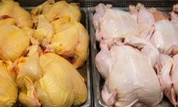 Marketteki Tavuk Neden Bazen Sarı, Bazen Bembeyaz Oluyor?