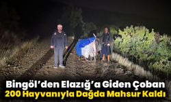 Bingöl’den Elazığ’a Giden Çoban 200 Hayvanıyla Dağda Mahsur Kaldı