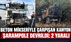 Bingöl'de Beton Mikseriyle Çarpışan Kamyon Şarampole Devrildi: 2 Yaralı