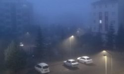 Bingöl Ovası'nda Yoğun Sis Etkili Oldu