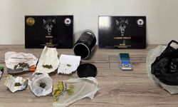 Bingöl'de Narkotik Operasyonu: 1 Tutuklama