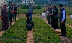 Vali Çelik, Bingöl Orman Fidanlığını Ziyaret Etti