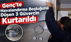 Genç’te Havalandırma Boşluğuna Düşen 3 Güvercin Kurtarıldı