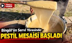 Bingöl Servi’de Geleneksel Pestil Mesaisi Başladı