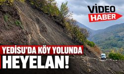 Yedisu'da Köy Yolunda Heyelan!
