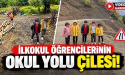 Yedisu'da Öğrencilerin Okul Yolu Çilesi: Derslerinden Geri Kalıyorlar!