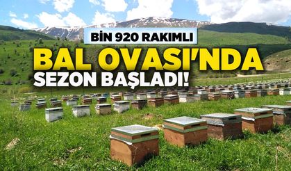 Bingöl'de Bal Ovası'nda Bal Sezonu Başladı!