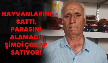 Hayvanlarını Sattı, Parasını Alamadı: Şimdi Çorap Satıyor!