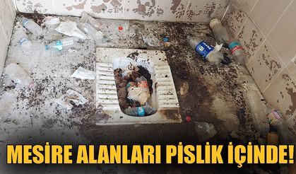 Mesire Alanları Pislik İçinde!