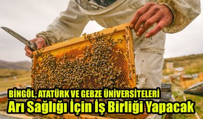 Bingöl, Atatürk ve Gebze Üniversitelerinden Arı Sağlığı İçin İş Birliği