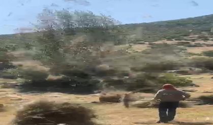 Bingöl'de Meydana Gelen Hortum, Çiftçileri Çaresiz Bıraktı