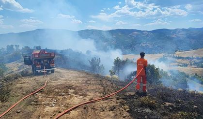 Kiğı’da Orman Yangını