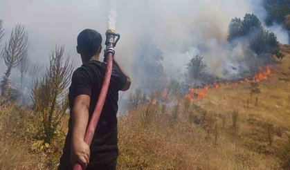 Bingöl'de Çıkan Yangın Söndürüldü