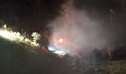 Bingöl'de Aynı Yerde 1 Gün Arayla İkinci Yangın!