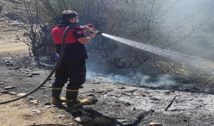 Bingöl’deki Yangın Ormana Sıçramadan Söndürüldü