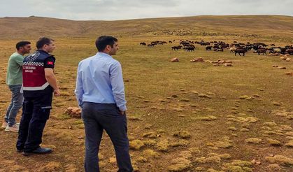 Bingöl’ün Karlıova İlçesinde Saha Çalışmaları