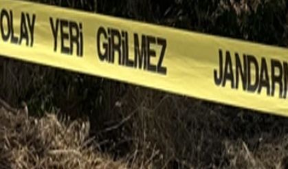 Bingöl Karlıova Yolunda Park Halindeki Araçta Ölü Bulundu!