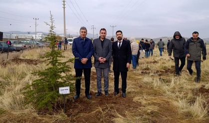 Bingöl’de Hayatını Kaybeden Öğretmenler Adına Fidan Dikildi