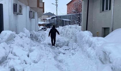 Karlıova’da Kar 40 Gündür Etkisini Sürdürüyor
