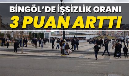 Bingöl’de İşsizlik Oranı 3 Puan Arttı