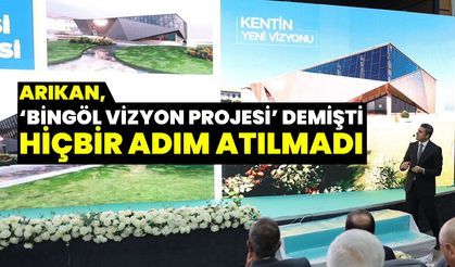 Arıkan, ‘Bingöl Vizyon Projesi’ Demişti, Hiçbir Adım Atılmadı