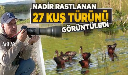 Bingöl’deki Sulak Alanlar Ender Rastlanan Kuş Türlerine Ev Sahipliği Yapıyor