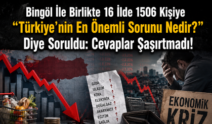 Bingöl İle Birlikte 16 İlde 1506 Kişiye “Türkiye’nin En Önemli Sorunu Nedir?” Diye Soruldu: Cevaplar Şaşırtmadı!