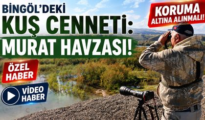 Bingöl’deki Kuş Cenneti 'Murat Havzası' Koruma Altına Alınmalı!