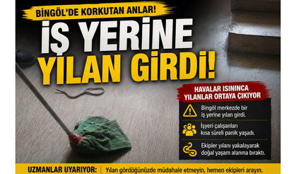 Bingöl’de İş Yerine Yılan Girdi