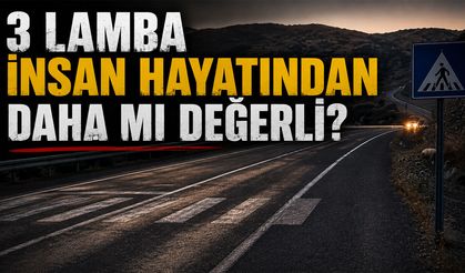 Bingöl’de Karayolunda Aydınlatması Olmayan Yaya Geçidi, Kazalara Davetiye Çıkarıyor!