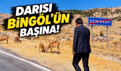 Darısı Bingöl’ün Başına!