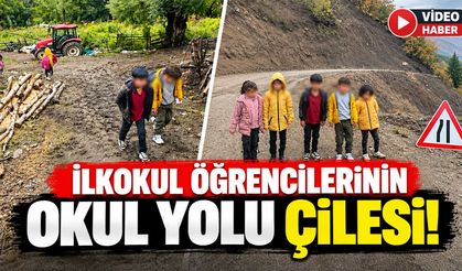 Yedisu'da Öğrencilerin Okul Yolu Çilesi: Derslerinden Geri Kalıyorlar!