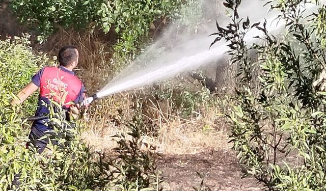 Genç'in Bayırlı Köyü'nde Yangın