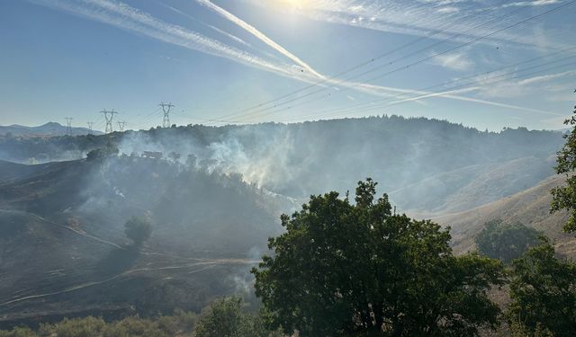 Genç'in Doğanca Köyü'nde Orman Yangını