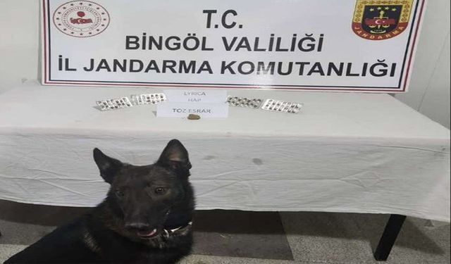 Narkotik Köpeği Şüphelileri Ele Verdi