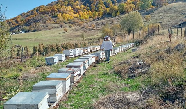 Arıcılık Desteklemeleri İçin Başvuru Süresi Uzatıldı