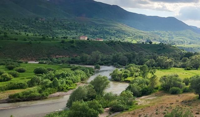 Perisuyu Vadisinde 905 Bitki Türü Belirlendi, 144’ü Tehlike Altında