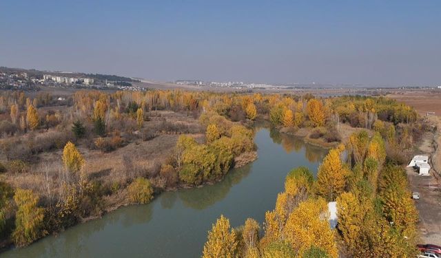 Hevsel Bahçeleri'nde renk cümbüşü