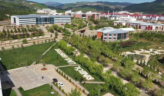 Bingöl Üniversitesi Öğretim Üyesi Alacak