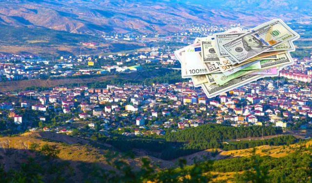 Döviz Mevduatı Oranında Bingöl Zirveye Yaklaştı: Türkiye’nin En Yüksek İllerinden