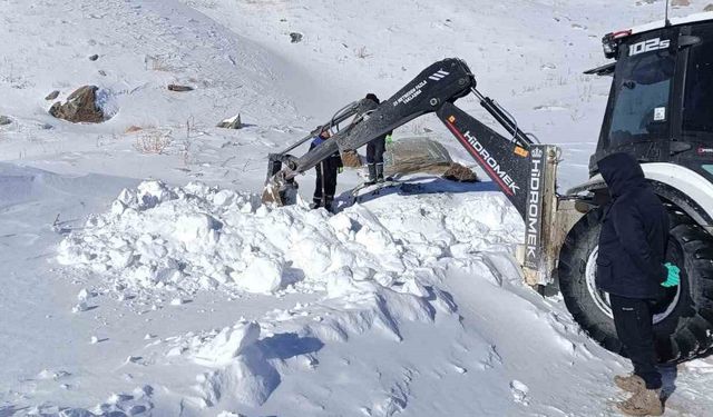 Hakkari 3 Bin 500 Rakımda Zorlu Çalışma